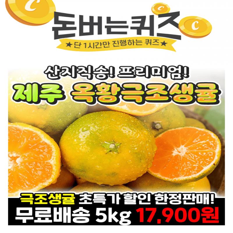 제주 옥황 극조생귤!마트에서 판매하는 저렴한가정용(혼합과)가 아닌 타업체보다 압도적인프리미엄 귤로 현재 나오...