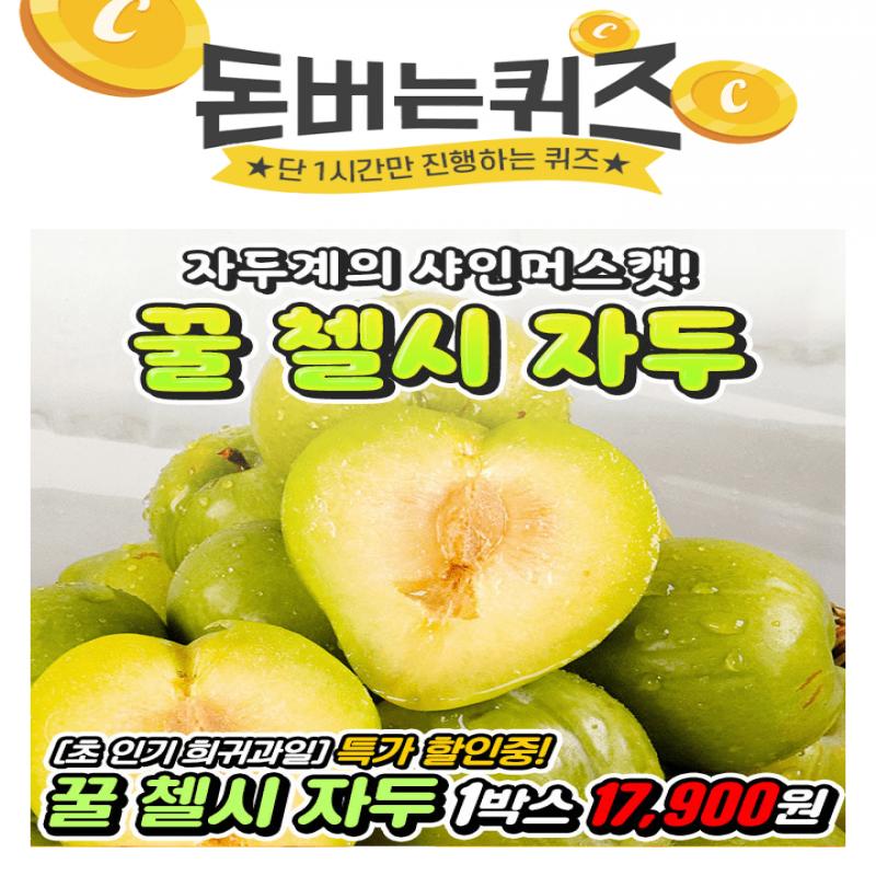 첼시 자두란?8~9월에 잠깐 수확되는 첼시 자두는당도가 매우 높고, 청포도 맛이 나며자두계의 OOOOO이라 말합니다....