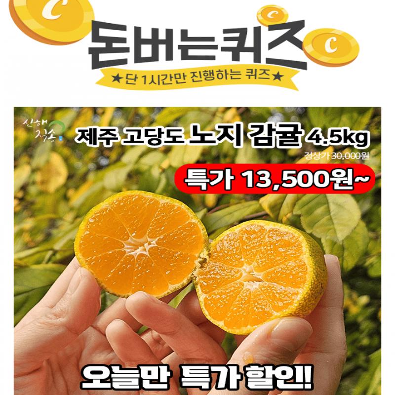 단 하루동안 진행되는 캐시딜 타임특가에서 산해직송 제주 고당도 노지 감귤 4.5kg가 역대급 할인으로 OOOOO원+무...