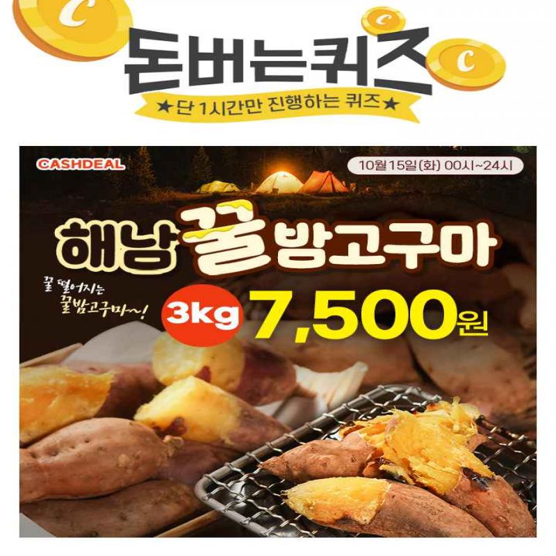 단 하루동안 진행되는 캐시딜 타임특가에서 산지직송! 국내산 해남 햇 꿀고구마 3kg가 역대급 특가 OOOO원+무료배...