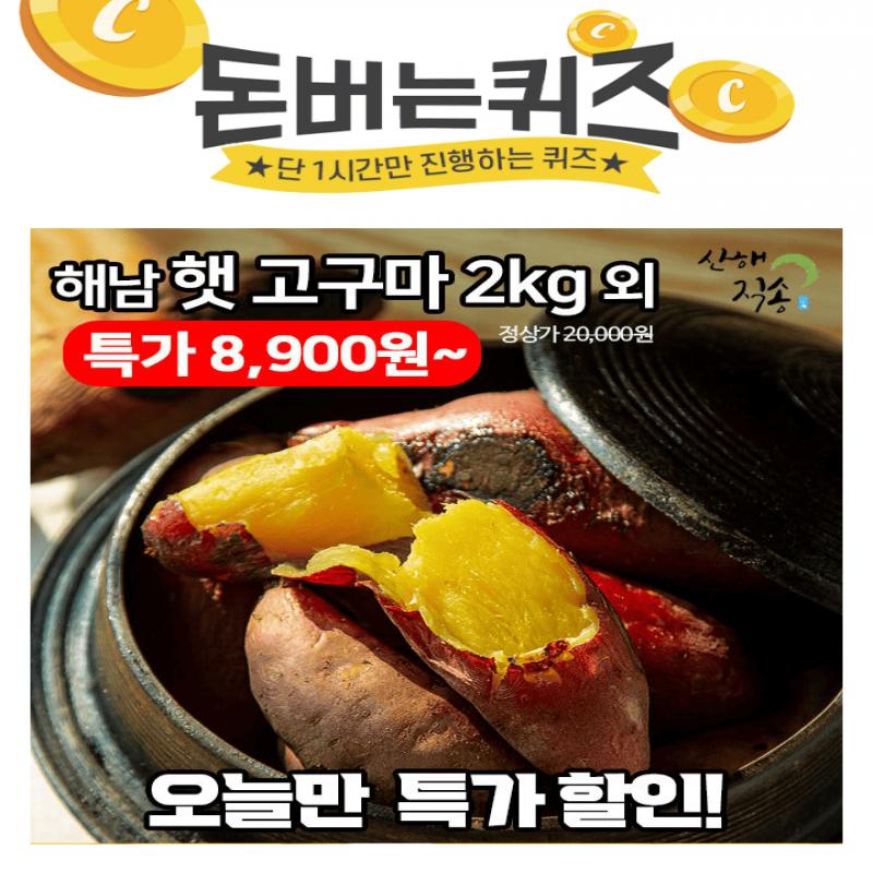 단 하루동안 진행되는 캐시딜 타임특가에서 산해직송 해남 햇 꿀/호박 고구마 2kg가 역대급 할인으로 OOOO원+무료...