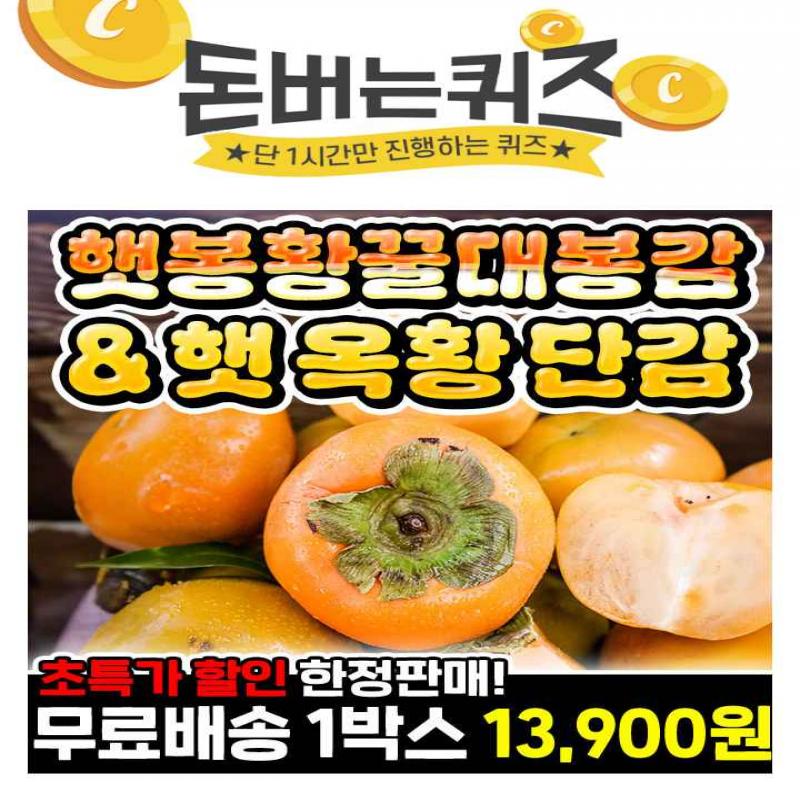 최저가 도전!미친듯한 고OO무려 21Brix!!OO에 들어갈 문구는 무엇일까요?