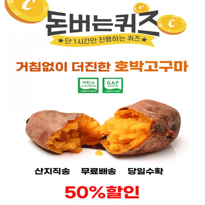 단 하루동안 진행되는 캐시딜 타임특가에서 [산지직송] 거침없이 더진한 호박고구마1kg+1kg가 역대급 할인으로 OOO...