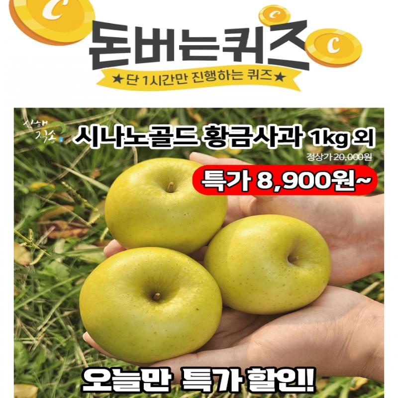 단 하루동안 진행되는 캐시딜 타임특가에서 산해직송 시나노골드 황금 사과 1kg가 역대급 할인으로 OOOO원+무료배...